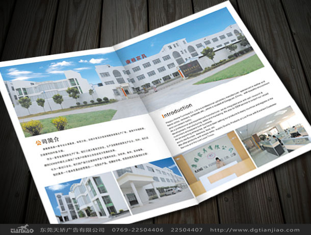 家具畫冊設(shè)計(jì)公司