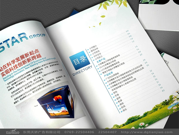 東莞電力畫冊(cè)設(shè)計(jì)