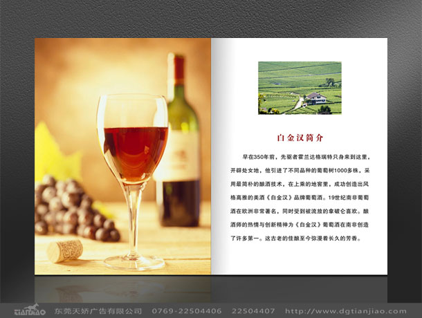 東莞畫(huà)冊(cè)設(shè)計(jì)