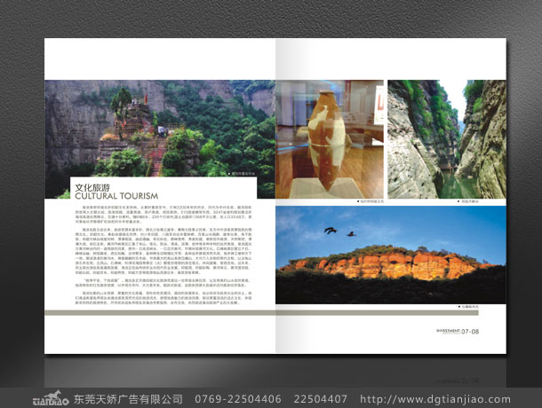 企業(yè)畫冊地產(chǎn)廣告設計