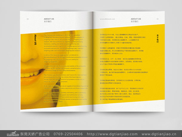 企業(yè)發(fā)電機_機電形畫冊設(shè)計案例